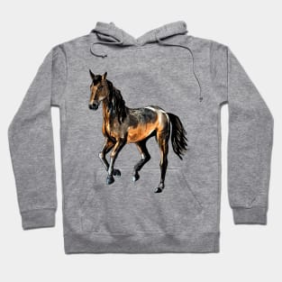 horse Hoodie